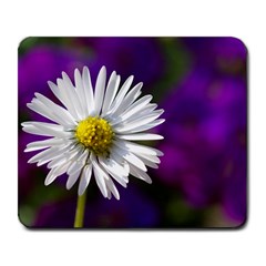 Daisy Large Mouse Pad (rectangle) by Siebenhuehner
