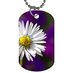 Daisy Dog Tag (One Sided) Front