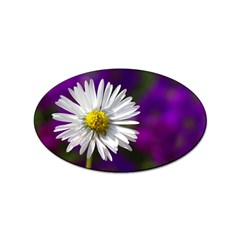 Daisy Sticker 100 Pack (oval) by Siebenhuehner