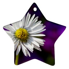 Daisy Star Ornament (two Sides) by Siebenhuehner