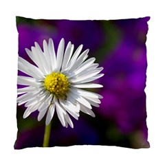 Daisy Cushion Case (single Sided)  by Siebenhuehner