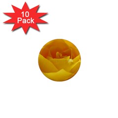 Yellow Rose 1  Mini Button Magnet (10 Pack) by Siebenhuehner