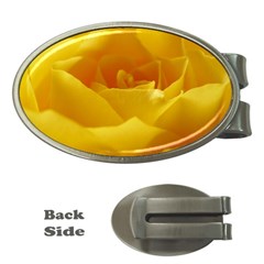 Yellow Rose Money Clip (oval) by Siebenhuehner