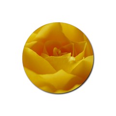 Yellow Rose Drink Coasters 4 Pack (round) by Siebenhuehner