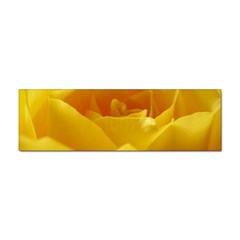 Yellow Rose Bumper Sticker 100 Pack by Siebenhuehner