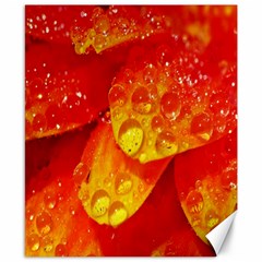 Waterdrops Canvas 8  X 10  (unframed) by Siebenhuehner