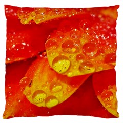 Waterdrops Large Cushion Case (two Sided)  by Siebenhuehner