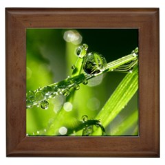 Waterdrops Framed Ceramic Tile by Siebenhuehner