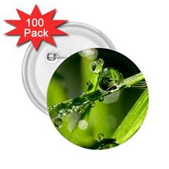 Waterdrops 2 25  Button (100 Pack) by Siebenhuehner