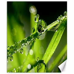 Waterdrops Canvas 8  X 10  (unframed) by Siebenhuehner