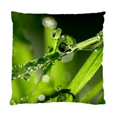 Waterdrops Cushion Case (two Sided)  by Siebenhuehner