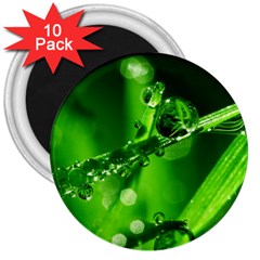 Waterdrops 3  Button Magnet (10 Pack) by Siebenhuehner