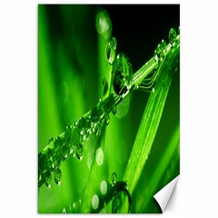 Waterdrops Canvas 20  x 30  (Unframed)