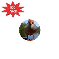 Geese 1  Mini Button Magnet (100 Pack) by Siebenhuehner