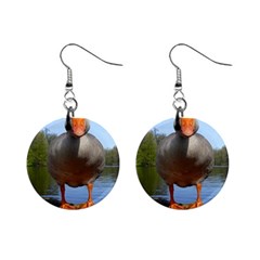 Geese Mini Button Earrings by Siebenhuehner