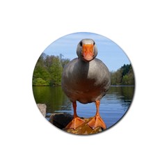 Geese Drink Coasters 4 Pack (round)
