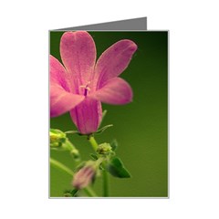 Campanula Close Up Mini Greeting Card by Siebenhuehner