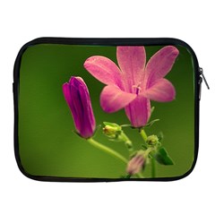 Campanula Close Up Apple Ipad 2/3/4 Zipper Case