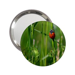 Ladybird Handbag Mirror (2 25 ) by Siebenhuehner