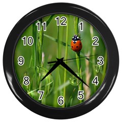 Ladybird Wall Clock (Black)