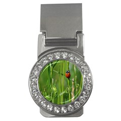 Ladybird Money Clip (cz) by Siebenhuehner