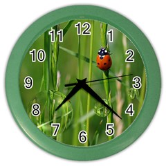 Ladybird Wall Clock (color) by Siebenhuehner