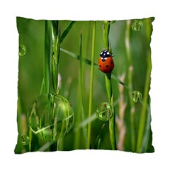 Ladybird Cushion Case (two Sided)  by Siebenhuehner