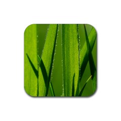 Grass Drink Coaster (square) by Siebenhuehner