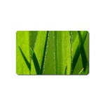 Grass Magnet (Name Card) Front