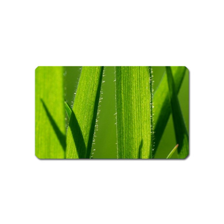 Grass Magnet (Name Card)