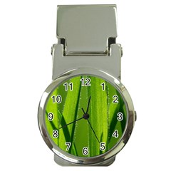 Grass Money Clip With Watch by Siebenhuehner