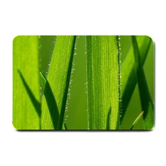 Grass Small Door Mat