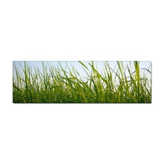 Grass Bumper Sticker