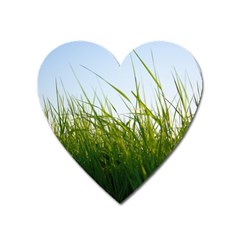 Grass Magnet (heart)