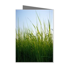 Grass Mini Greeting Card (8 Pack) by Siebenhuehner