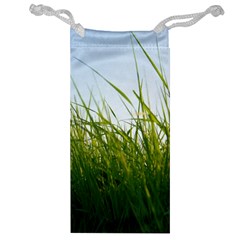 Grass Jewelry Bag