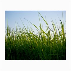 Grass Glasses Cloth (small, Two Sided)