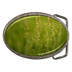 Grass Belt Buckle (oval)