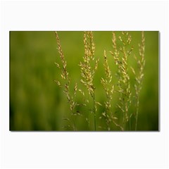 Grass Postcards 5  X 7  (10 Pack) by Siebenhuehner