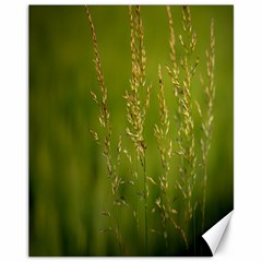 Grass Canvas 11  X 14  (unframed) by Siebenhuehner