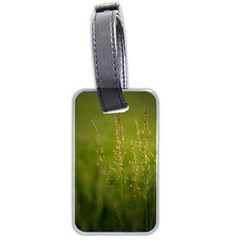 Grass Luggage Tag (two Sides) by Siebenhuehner