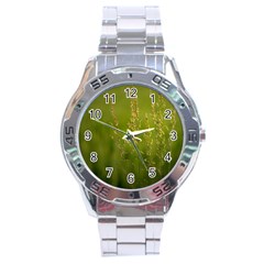 Grass Stainless Steel Watch (men s) by Siebenhuehner