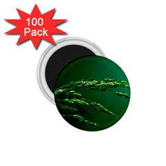 Waterdrops 1 75  Button Magnet (100 Pack) by Siebenhuehner