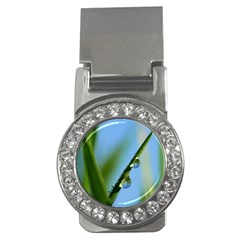 Waterdrops Money Clip (CZ)