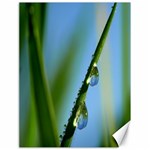 Waterdrops Canvas 18  x 24  (Unframed) 17.8 x23.08  Canvas - 1