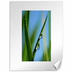 Waterdrops Canvas 36  X 48  (unframed) by Siebenhuehner