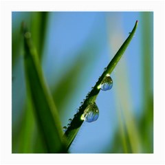 Waterdrops Glasses Cloth (medium) by Siebenhuehner