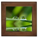 Waterdrops Framed Ceramic Tile Front