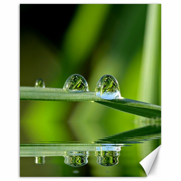 Waterdrops Canvas 16  x 20  (Unframed)