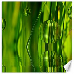 Green Bubbles  Canvas 16  X 16  (unframed) by Siebenhuehner